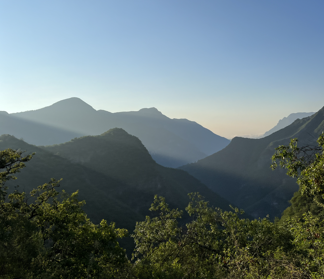 Three Body Problem Orbit Simulation