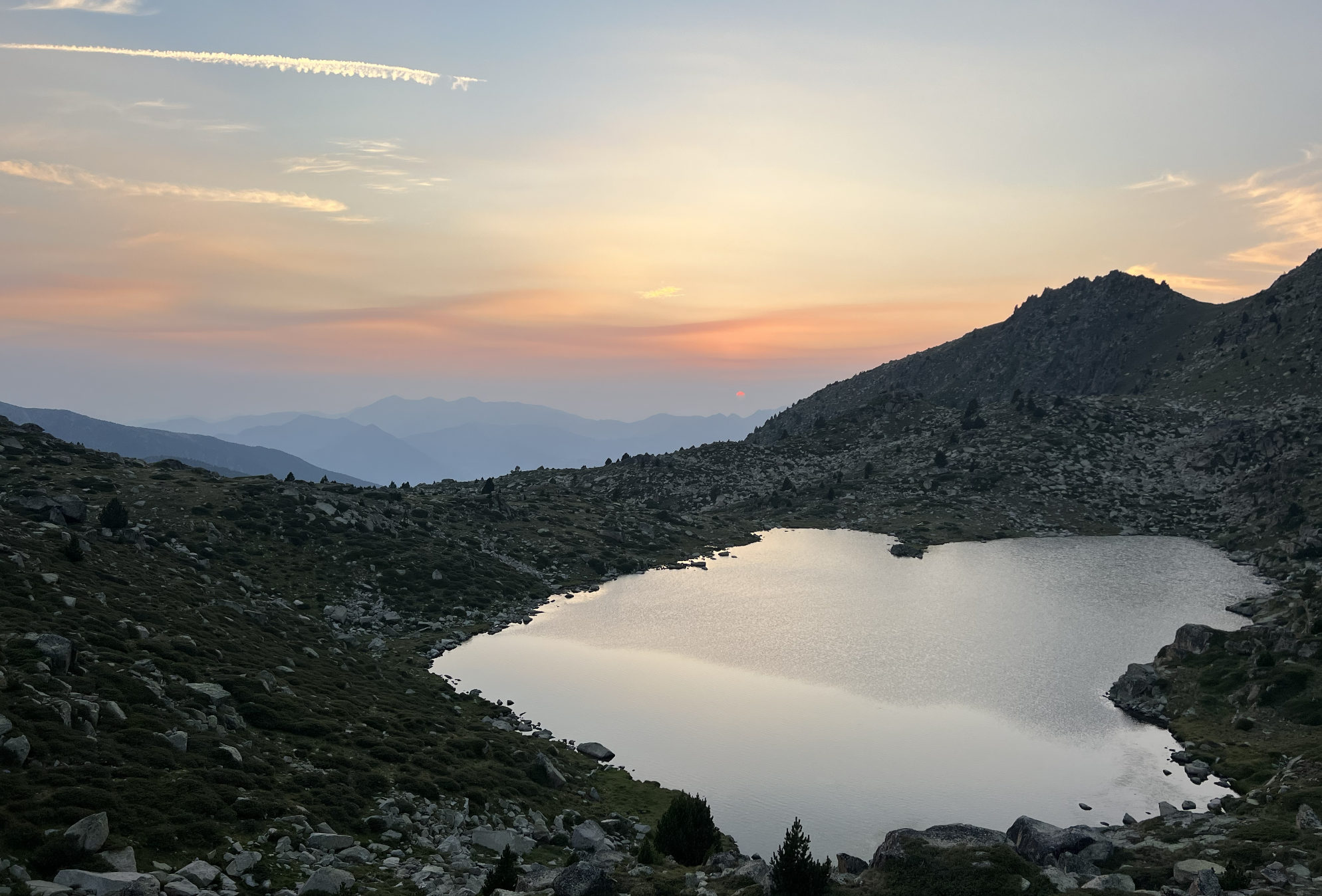 Three Body Problem Orbit Simulation