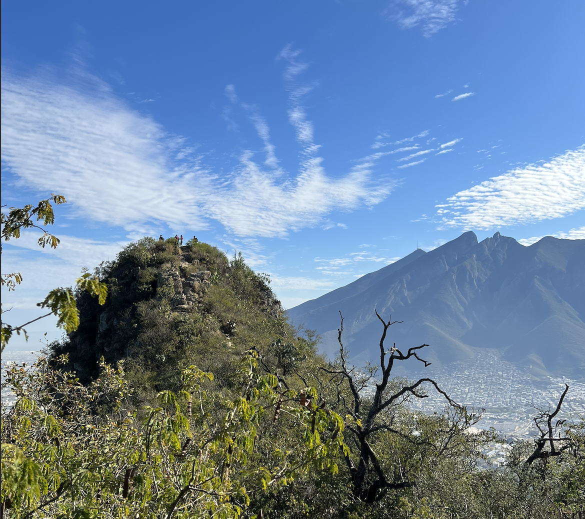 Three Body Problem Orbit Simulation