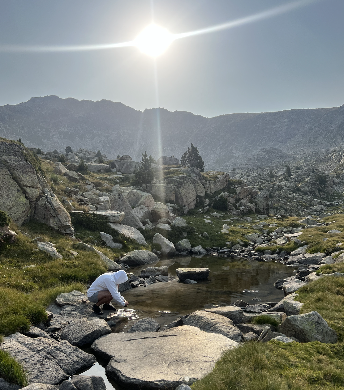 Three Body Problem Orbit Simulation