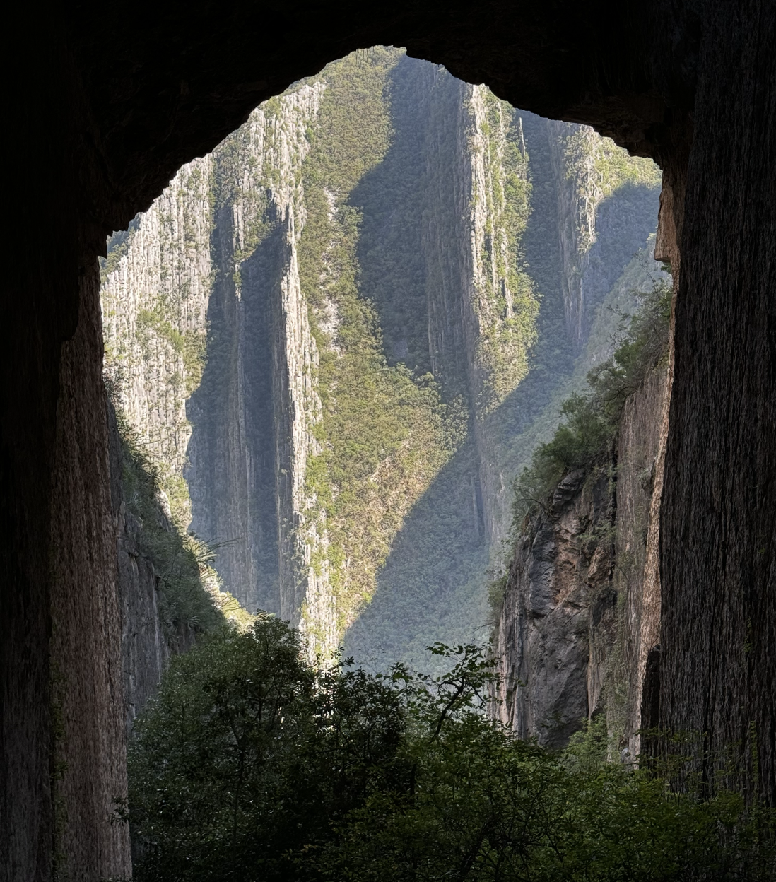 Three Body Problem Orbit Simulation